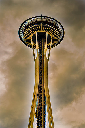 Seattle Space Needle  I  Forever Butterflies Photography
