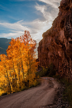 Telluride Fall Drive  I  Forever Butterflies Photography